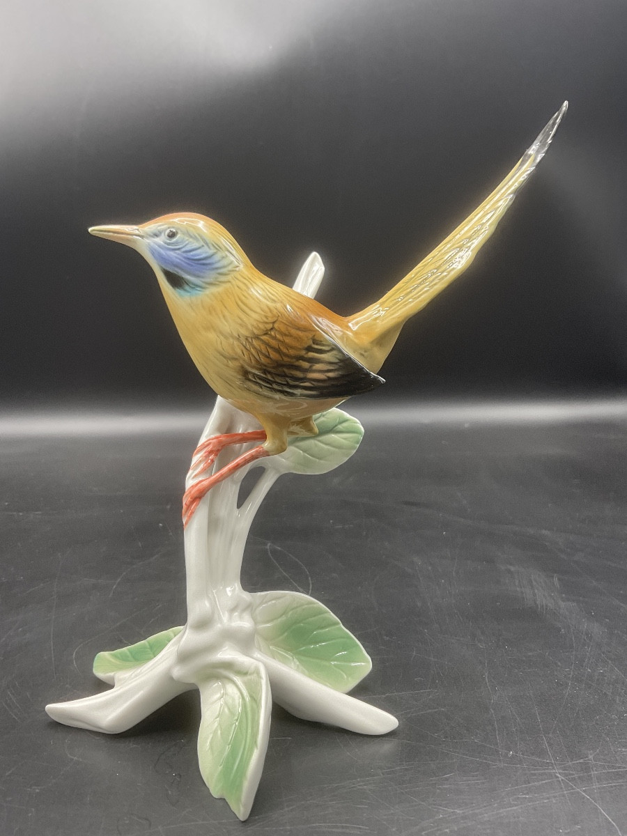 Fauvette couturière à longue queue perché sur un branche en porcelaine polychrome de Karl Ens.-photo-8