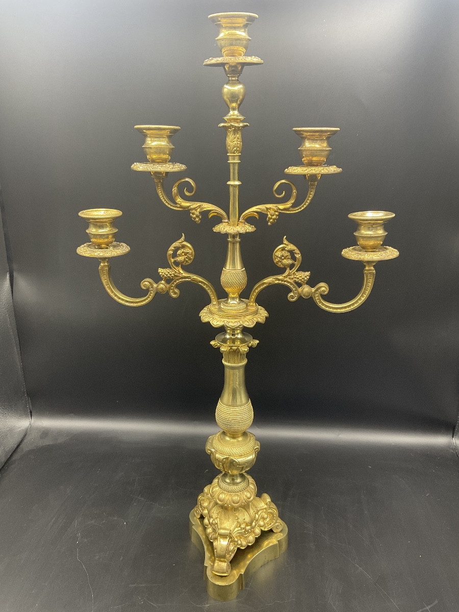 Pair Of Napoleon III Period Five-light Candelabra In Chased Gilt Bronze.-photo-3