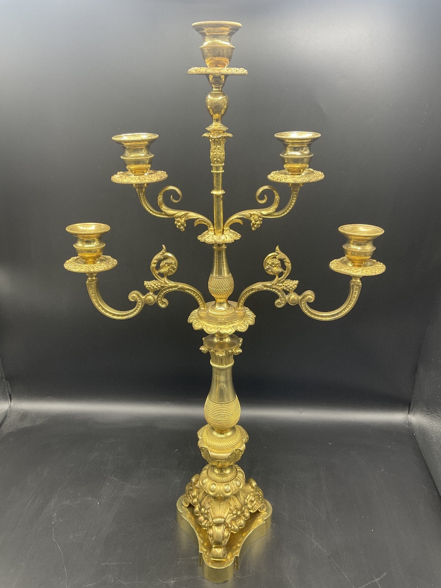 Pair Of Napoleon III Period Five-light Candelabra In Chased Gilt Bronze.-photo-4