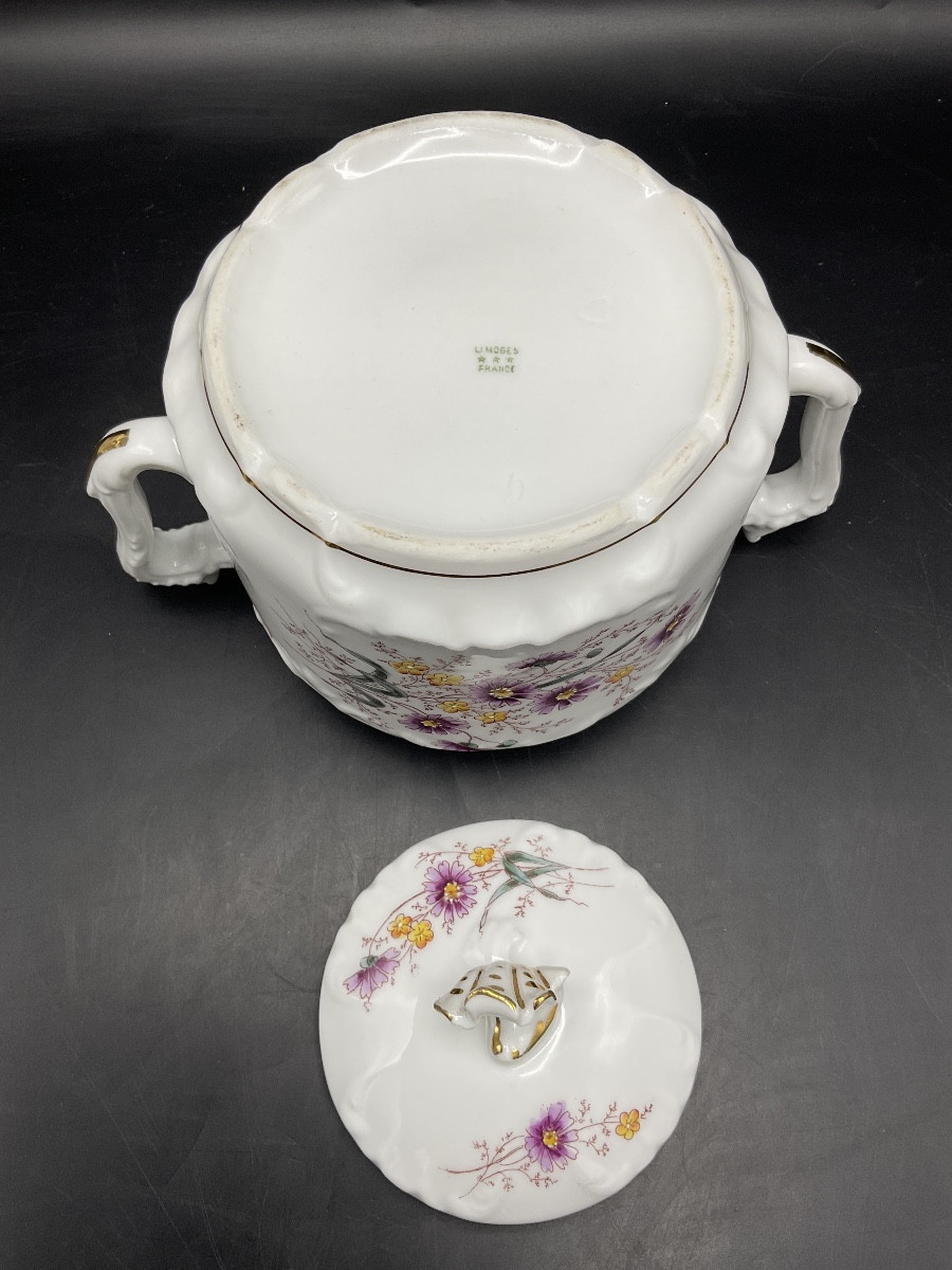 Limoges Polychrome Porcelain Coffee Service Decorated With A Bouquet Of Flowers And A Butterfly.-photo-7