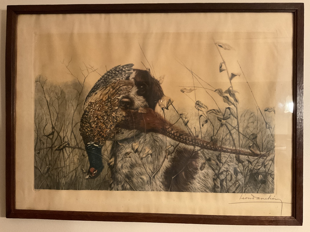 Polychrome Engraving Signed Léon Danchin Depicting A Griffin With A Pheasant Rooster In Its Mouth.-photo-2