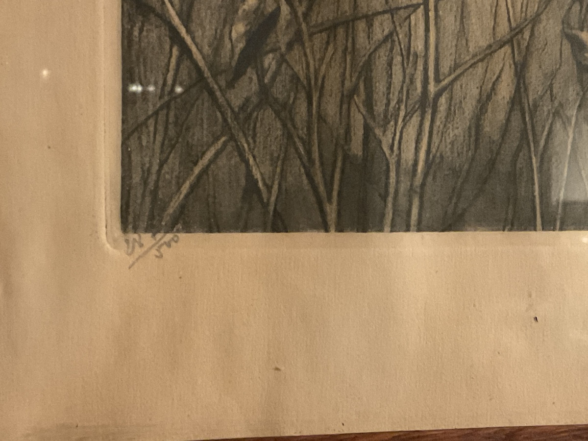 Polychrome Engraving Signed Léon Danchin Depicting A Griffin With A Pheasant Rooster In Its Mouth.-photo-3