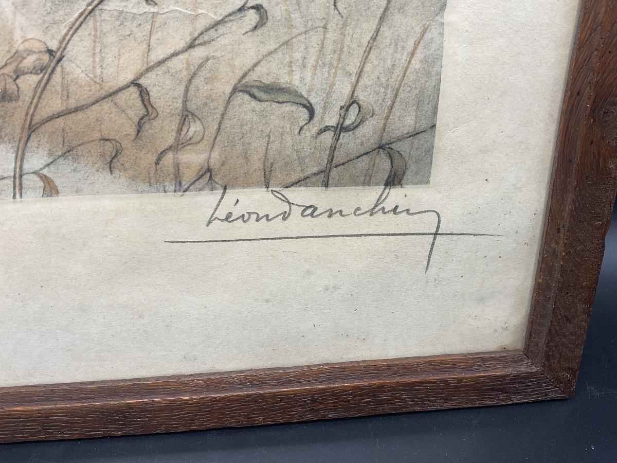 Gravure polychrome encadrée numérotées et signée Léon Danchin représentant une bécasse en vol.-photo-4