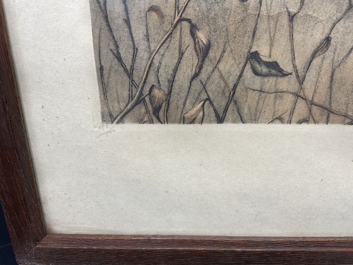 Gravure polychrome encadrée numérotées et signée Léon Danchin représentant une bécasse en vol.-photo-1
