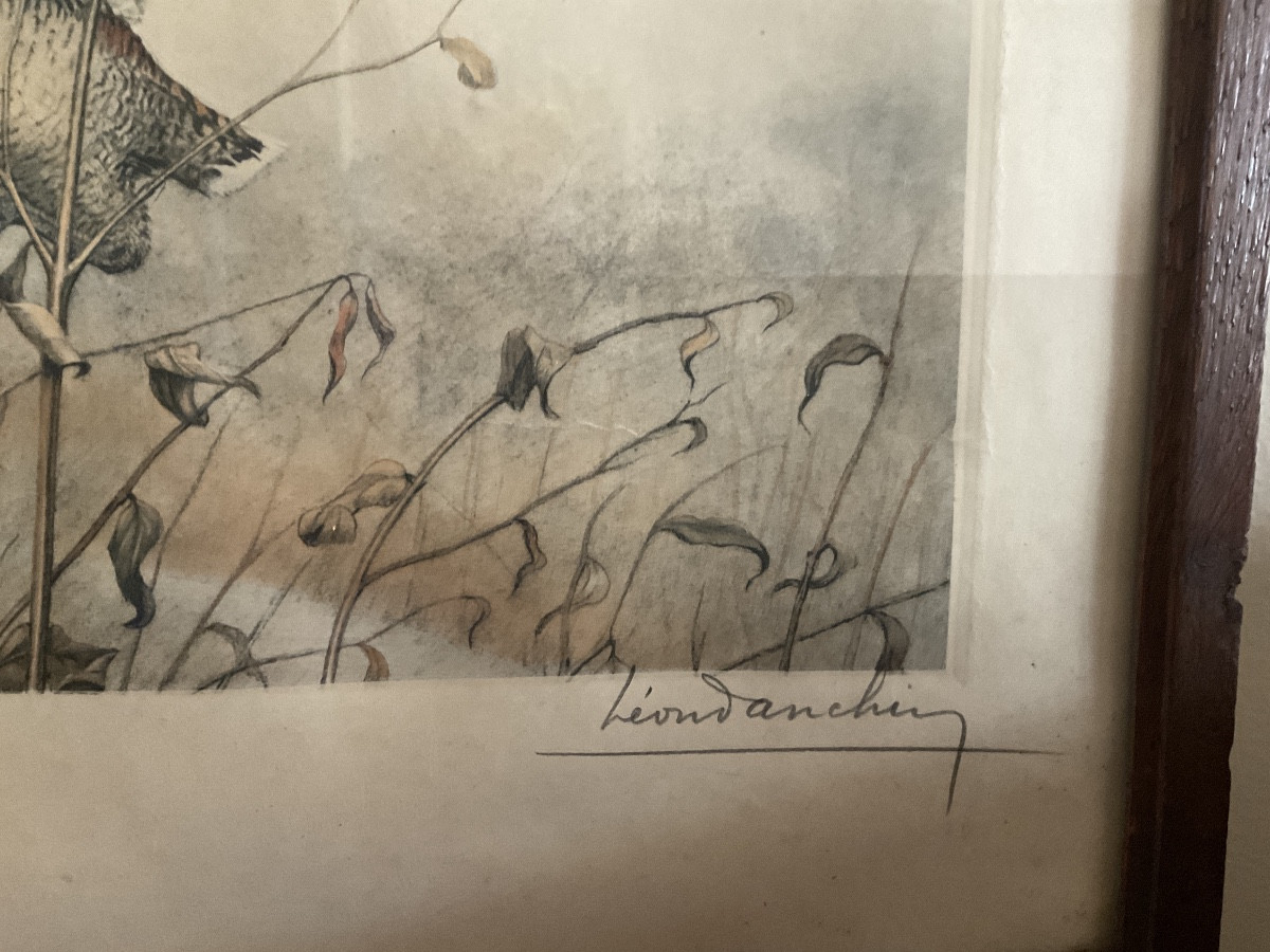 Gravure polychrome encadrée numérotées et signée Léon Danchin représentant une bécasse en vol.-photo-4