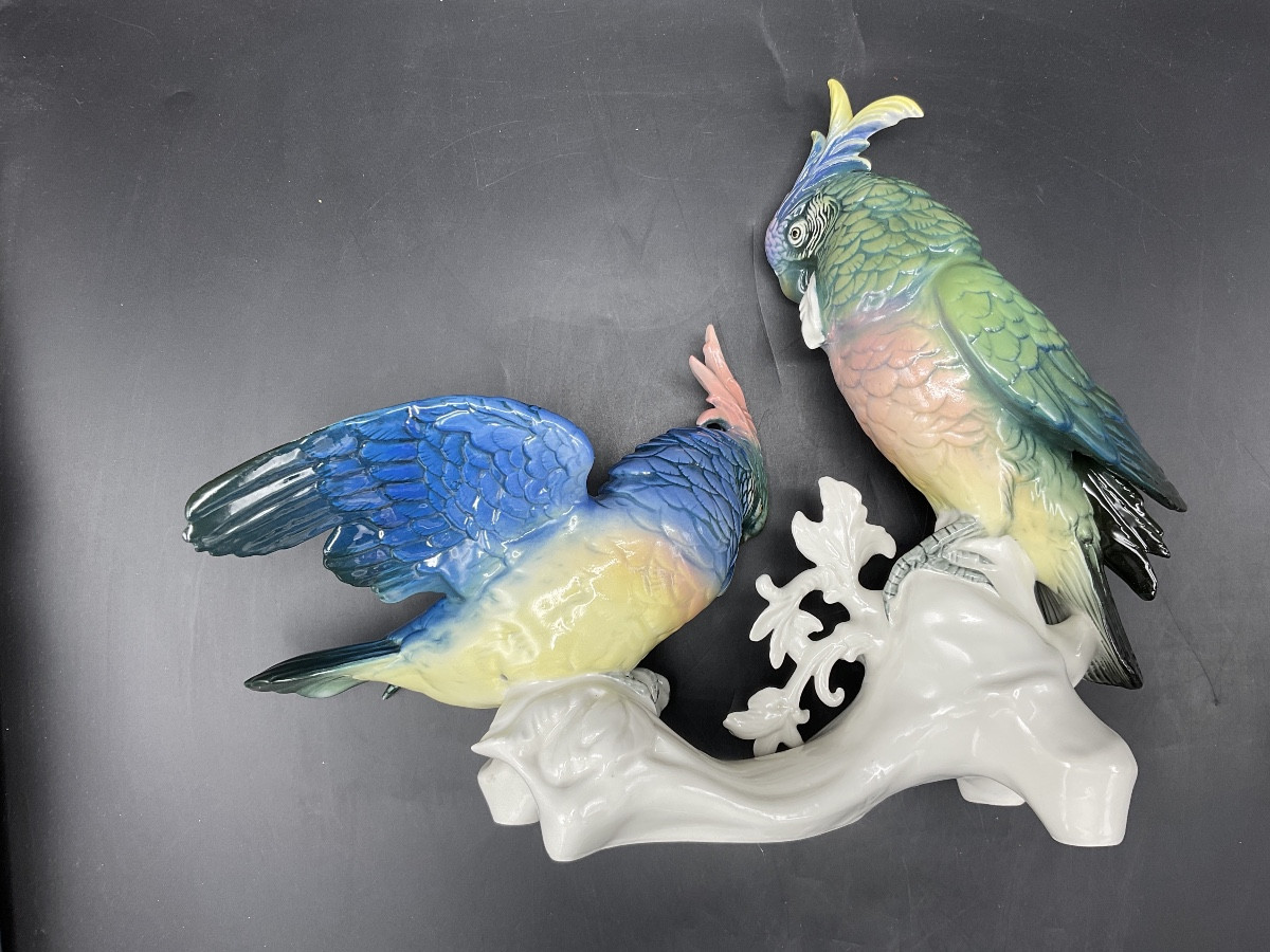 Couple de perroquets cacatoès perchés sur une branche en porcelaine de la manufacture Karl ens.-photo-8