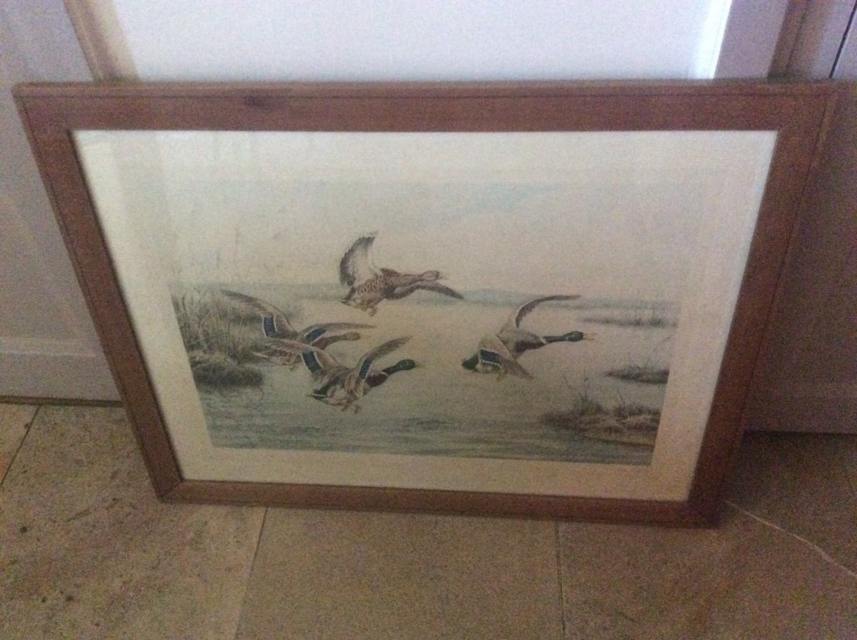 Polychrome Engraving Depicting Two Pairs Of Ducks Taking Flight Over A Lake Signed Georges-frédéric Rötig.-photo-7