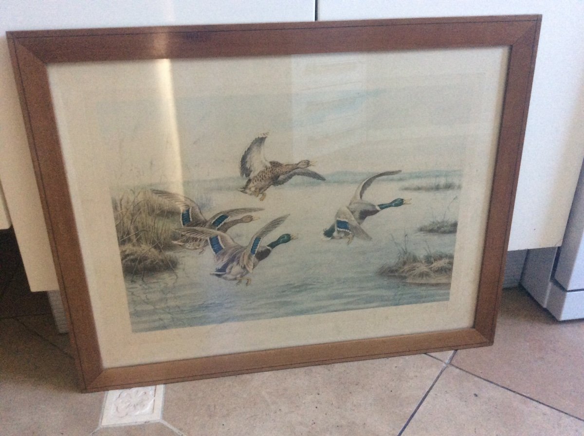 Polychrome Engraving Depicting Two Pairs Of Ducks Taking Flight Over A Lake Signed Georges-frédéric Rötig.-photo-8