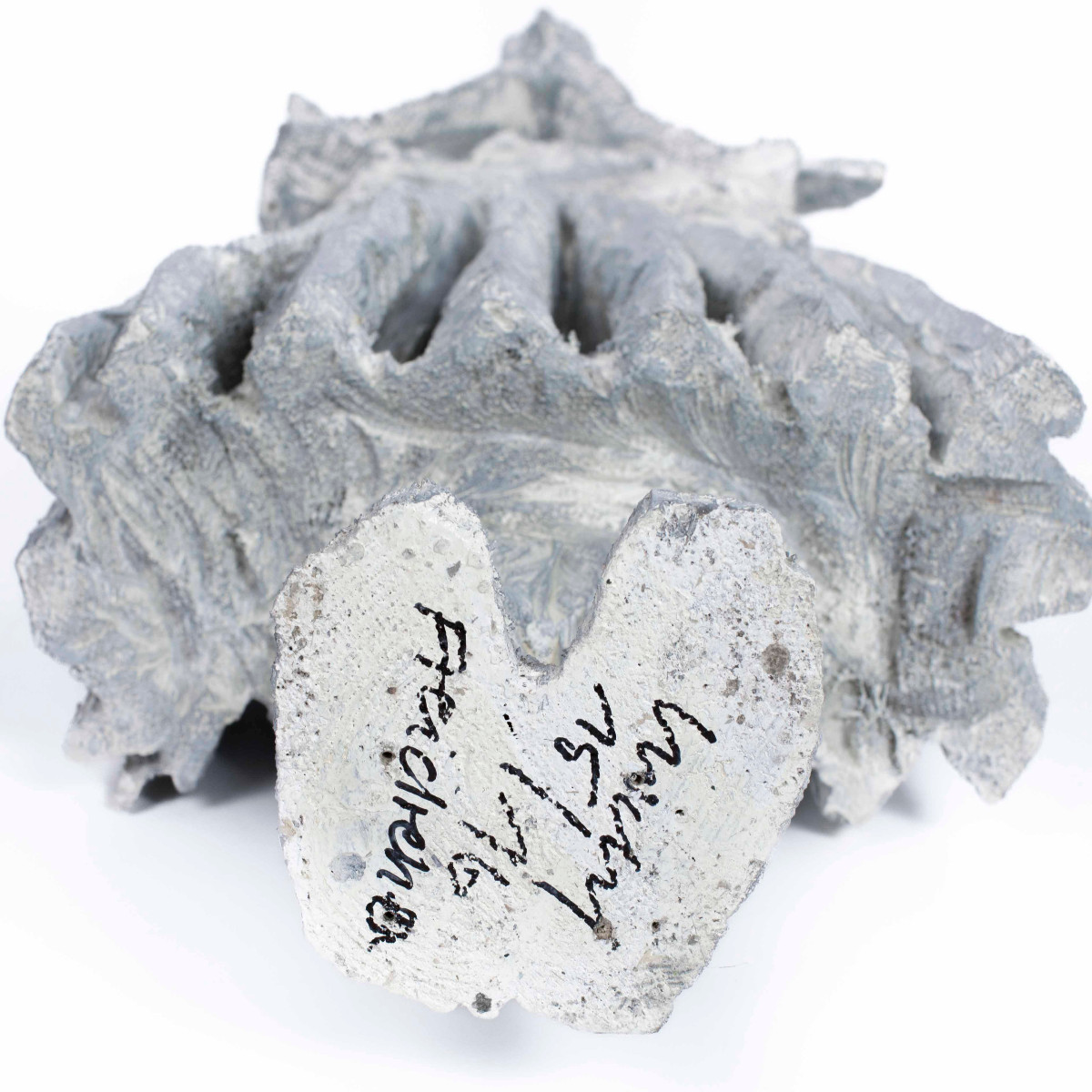 Abstract Wooden Grey-white Sculpture “free To Turn" By Christofer Kochs 2016-photo-7