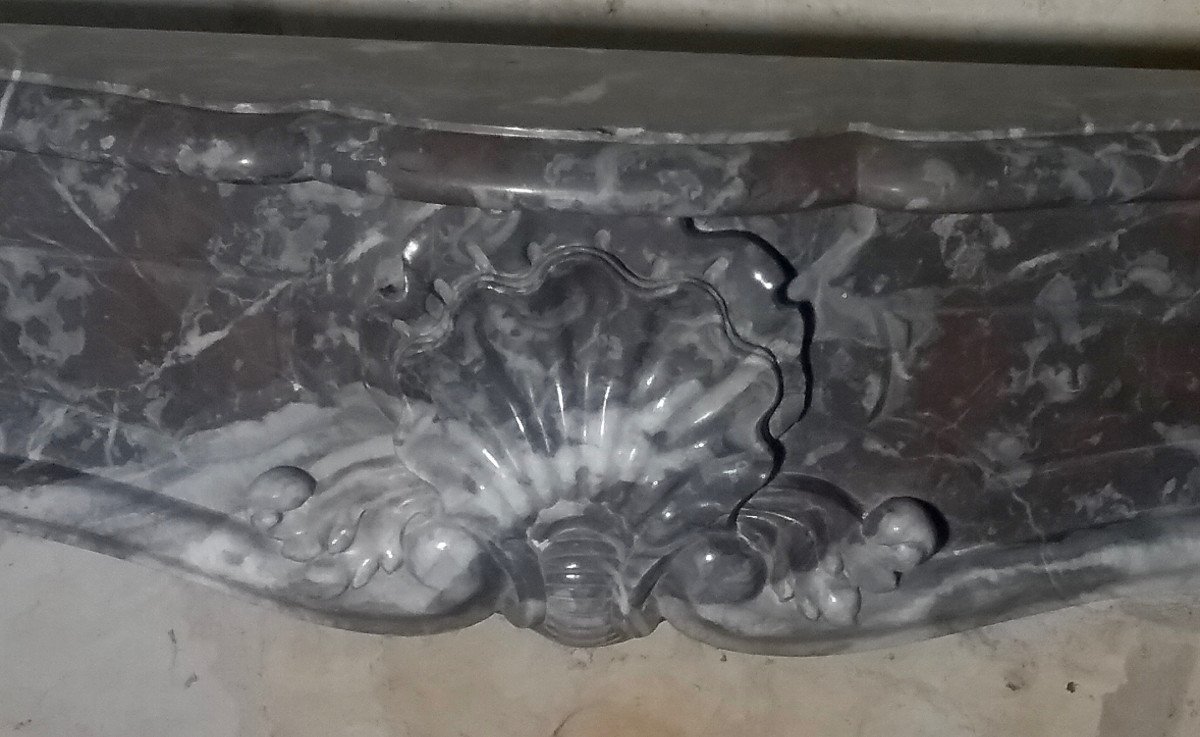 Belgian Brown Marble Fireplace 19th-photo-1
