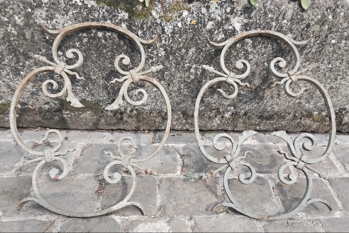 Pair Of Protective Grilles-photo-2