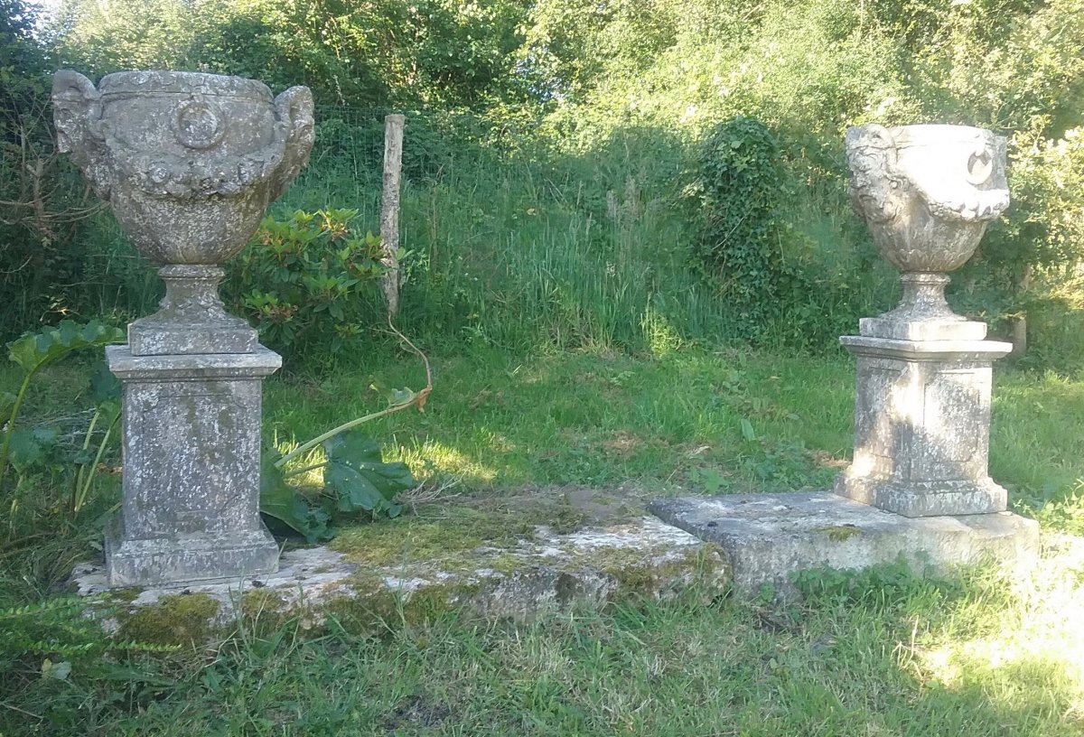 Paire De Pots à Feu à Tête De Faune-photo-1