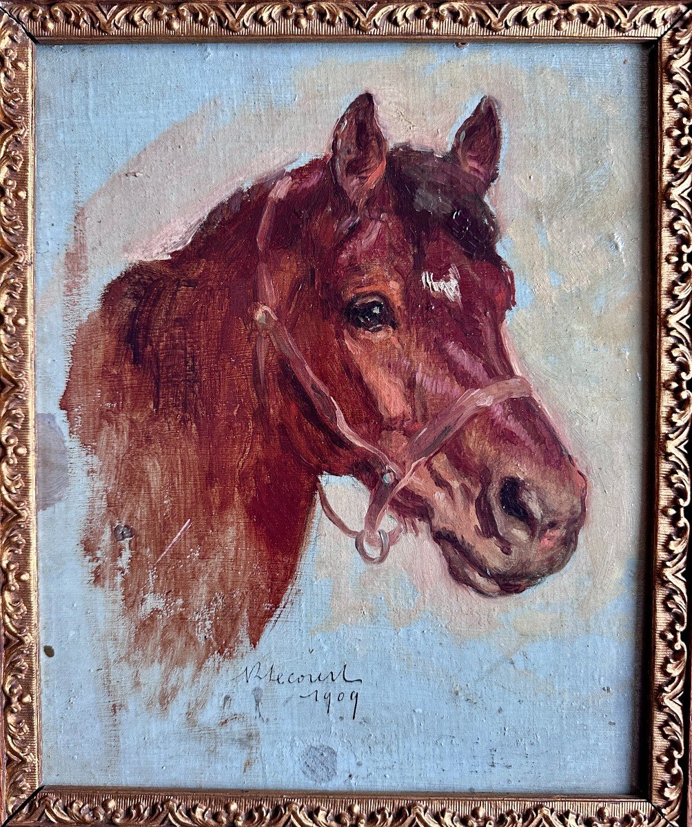 Raimond Lecourt (1882-1946), Sketch Of A Horse's Head, 1909-photo-3