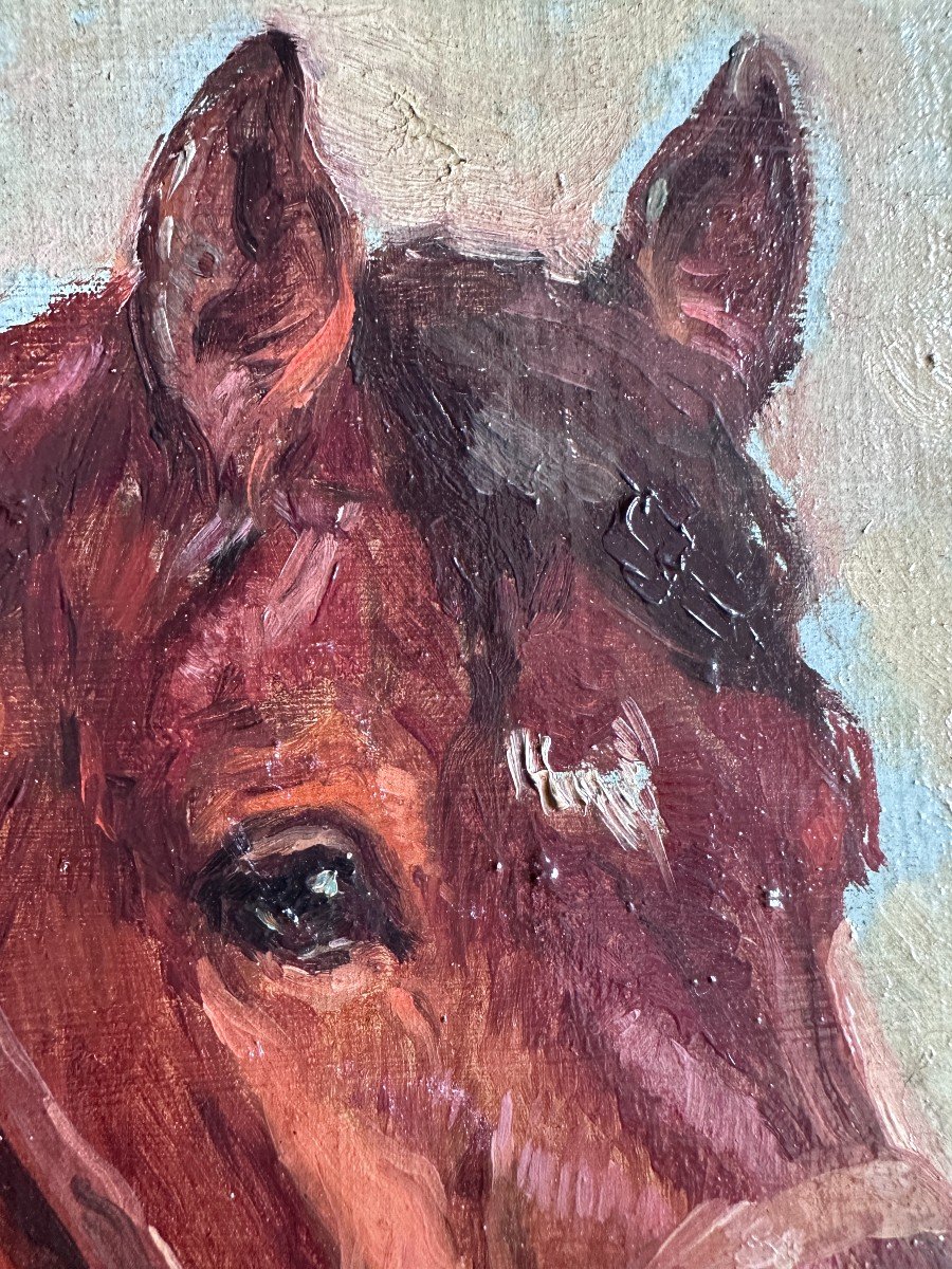 Raimond Lecourt (1882-1946), Sketch Of A Horse's Head, 1909-photo-2