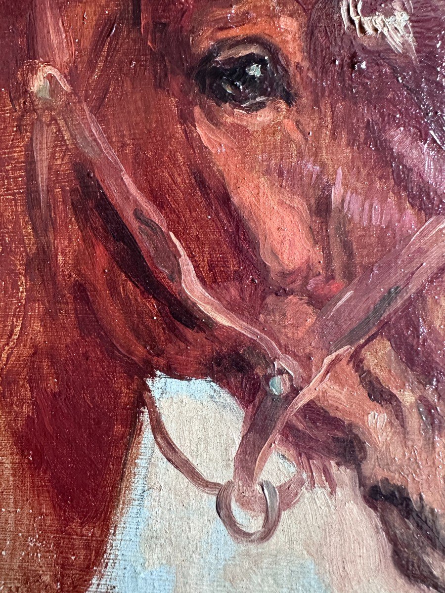 Raimond Lecourt (1882-1946), Sketch Of A Horse's Head, 1909-photo-3