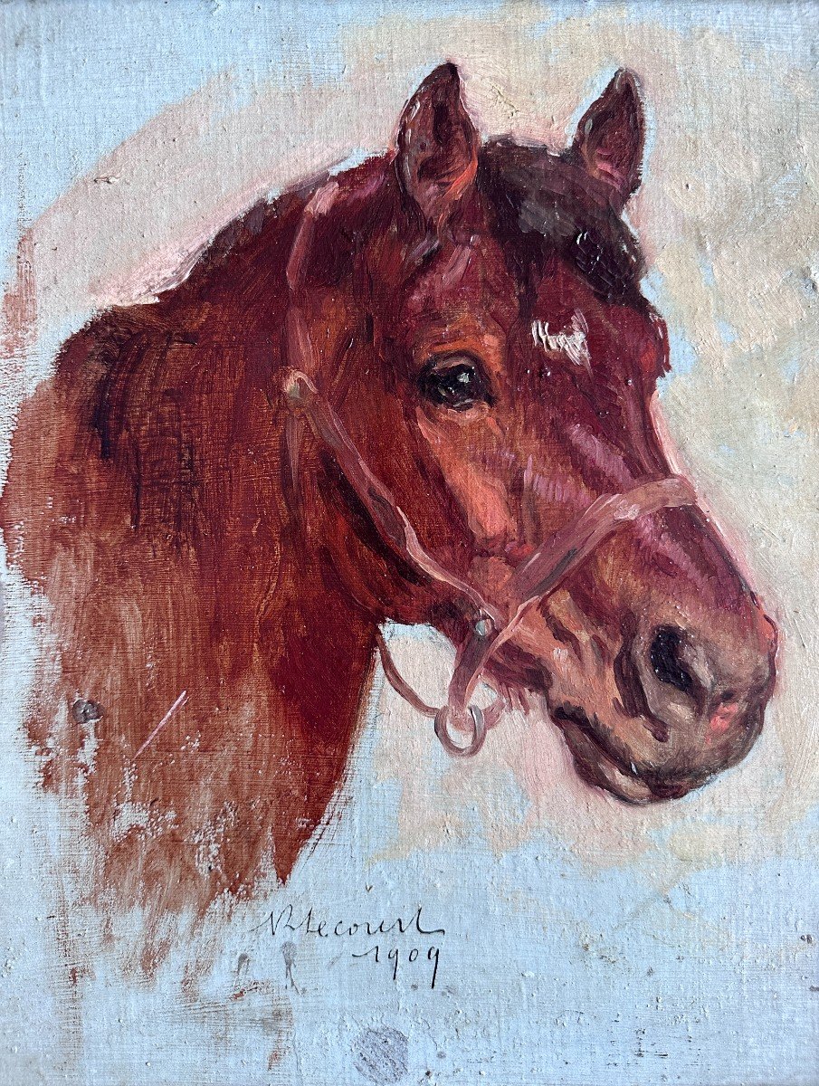 Raimond Lecourt (1882-1946), Sketch Of A Horse's Head, 1909