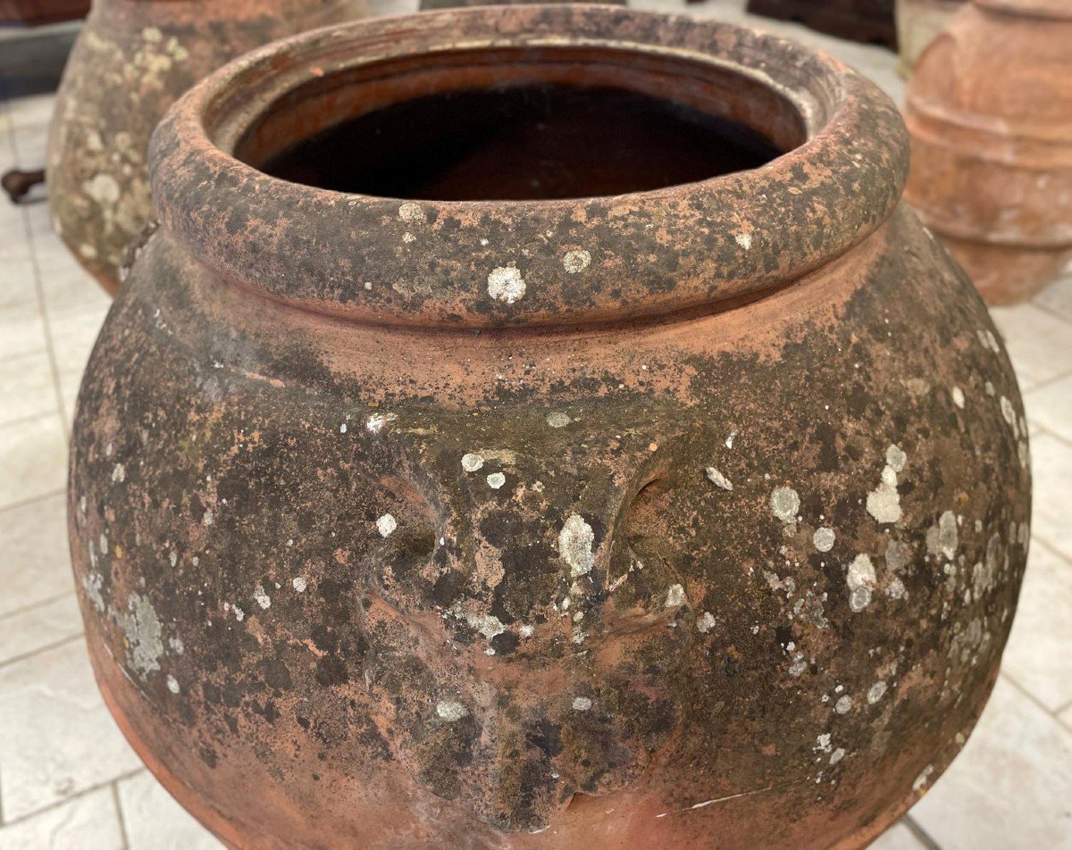 Grand Pot En Terre Cuite De L’impruneta Du XIXe Siècle-photo-5