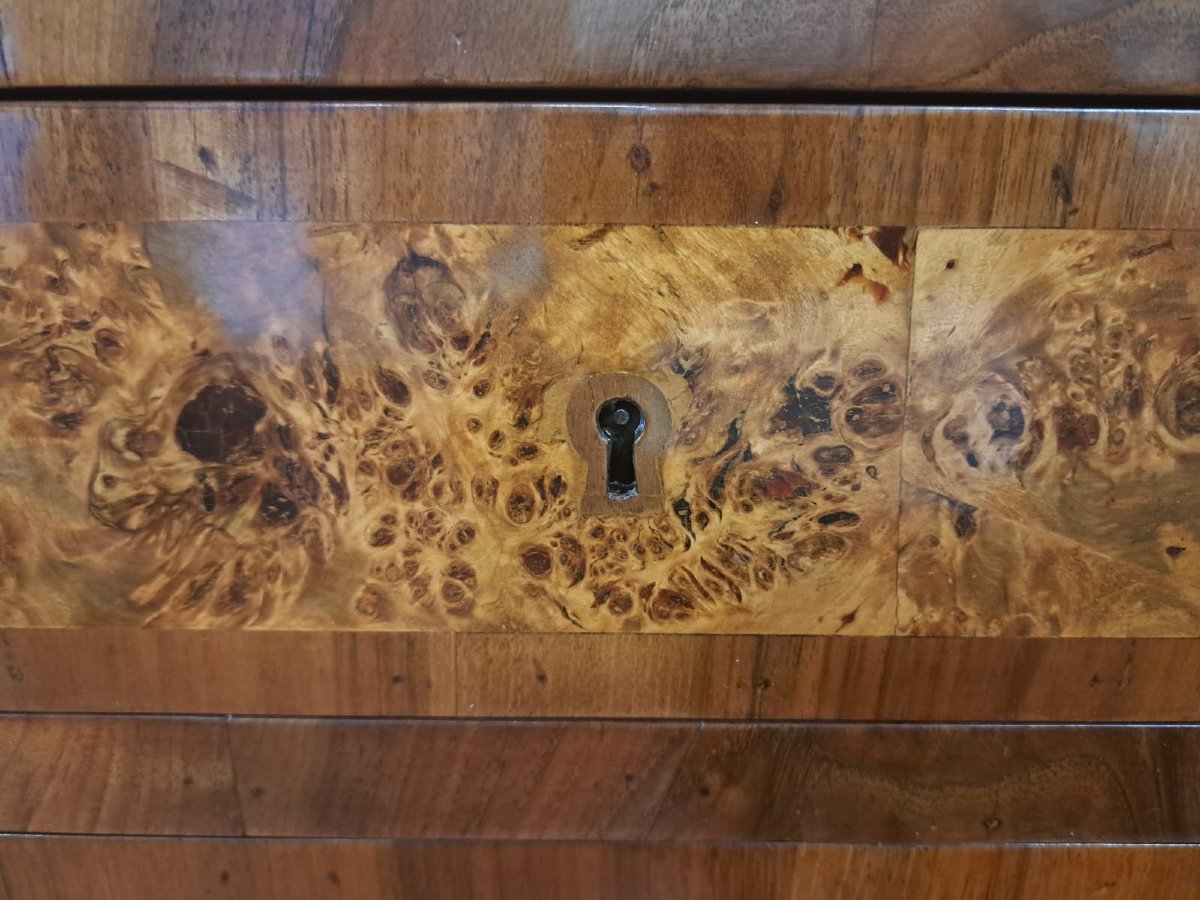 Commode de bibliothèque incrustée-photo-3