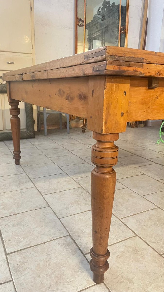 Table extensible dans le cyprès-photo-4