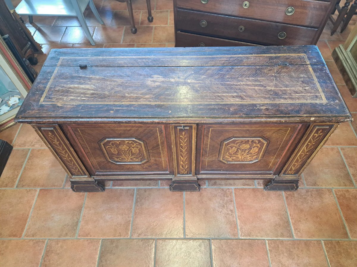 Painted 18th Century Chest-photo-6