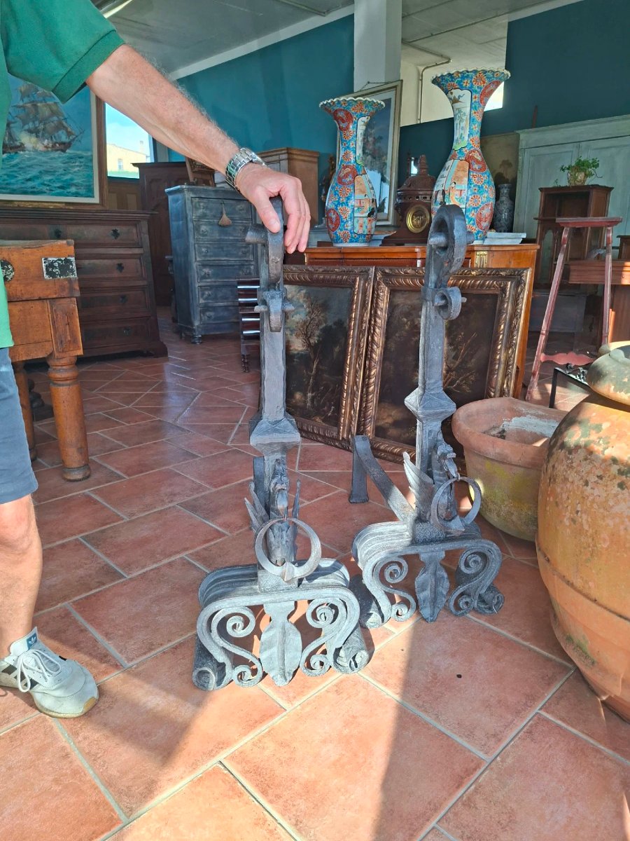 Pair Of Large Monumental Iron Wings-photo-5