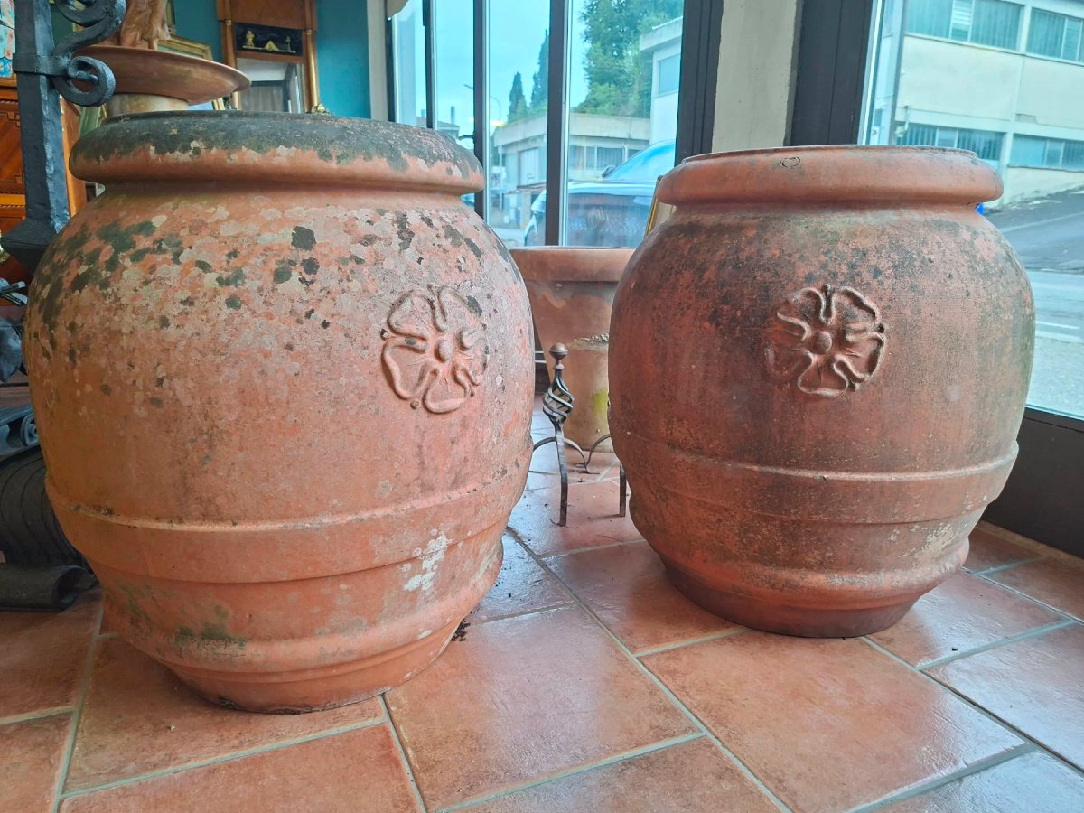 Couple d’ourses en terre cuite de l’Impruneta-photo-6