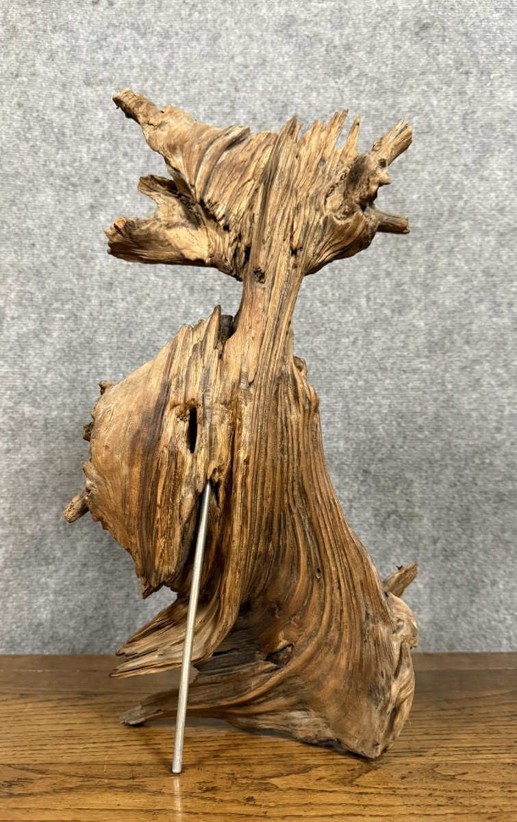 Brutalist Art: Large Sculpture Made From A Teak Root -photo-3