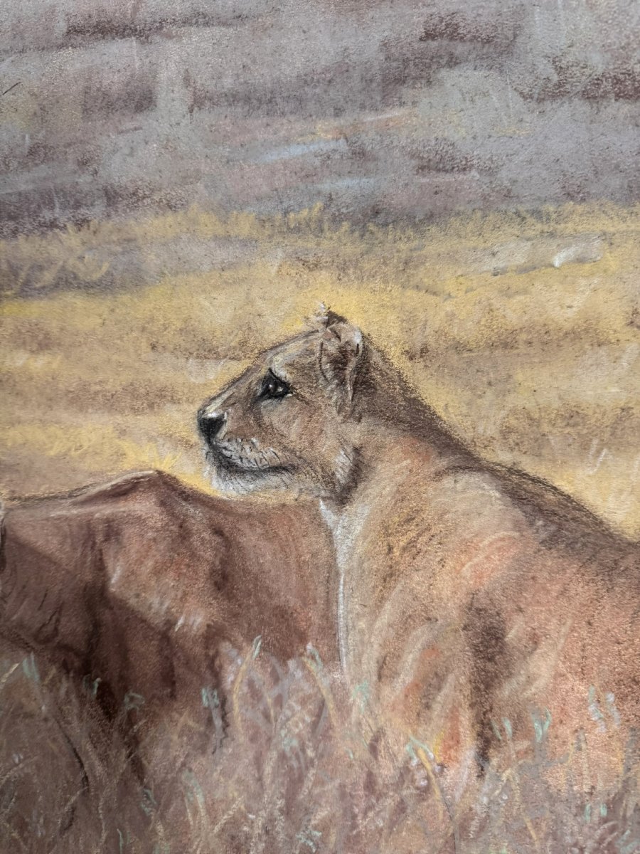 The Lionesses: French School 20th Century -photo-4