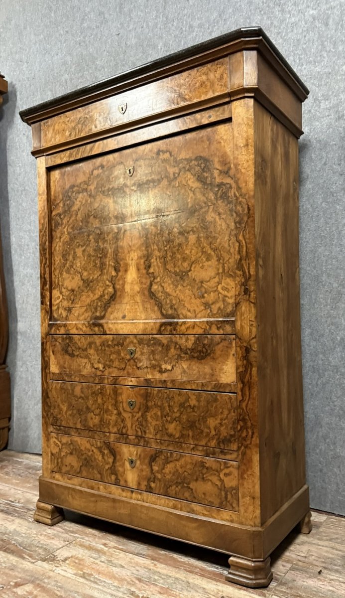 Louis Philippe Period Secretary In Burr Walnut -photo-7