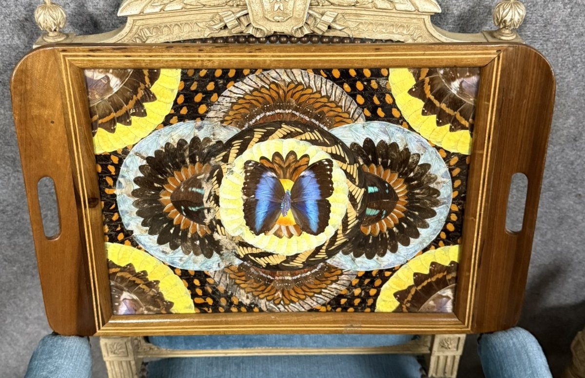 Plateau De Service époque Art Déco En Bois Marquété Avec Incrustation d'Ailes De Papillons -photo-1