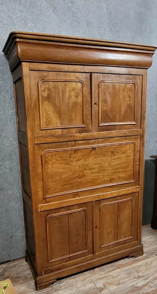 Louis Philippe Period Secret Cabinet Secretary In Ash And Elm Circa 1830