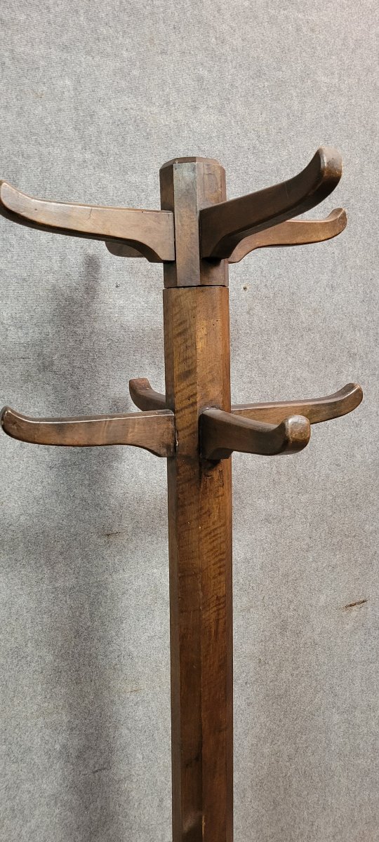 Porte manteaux perroquet design Français en bois massif des années 50'  -photo-3