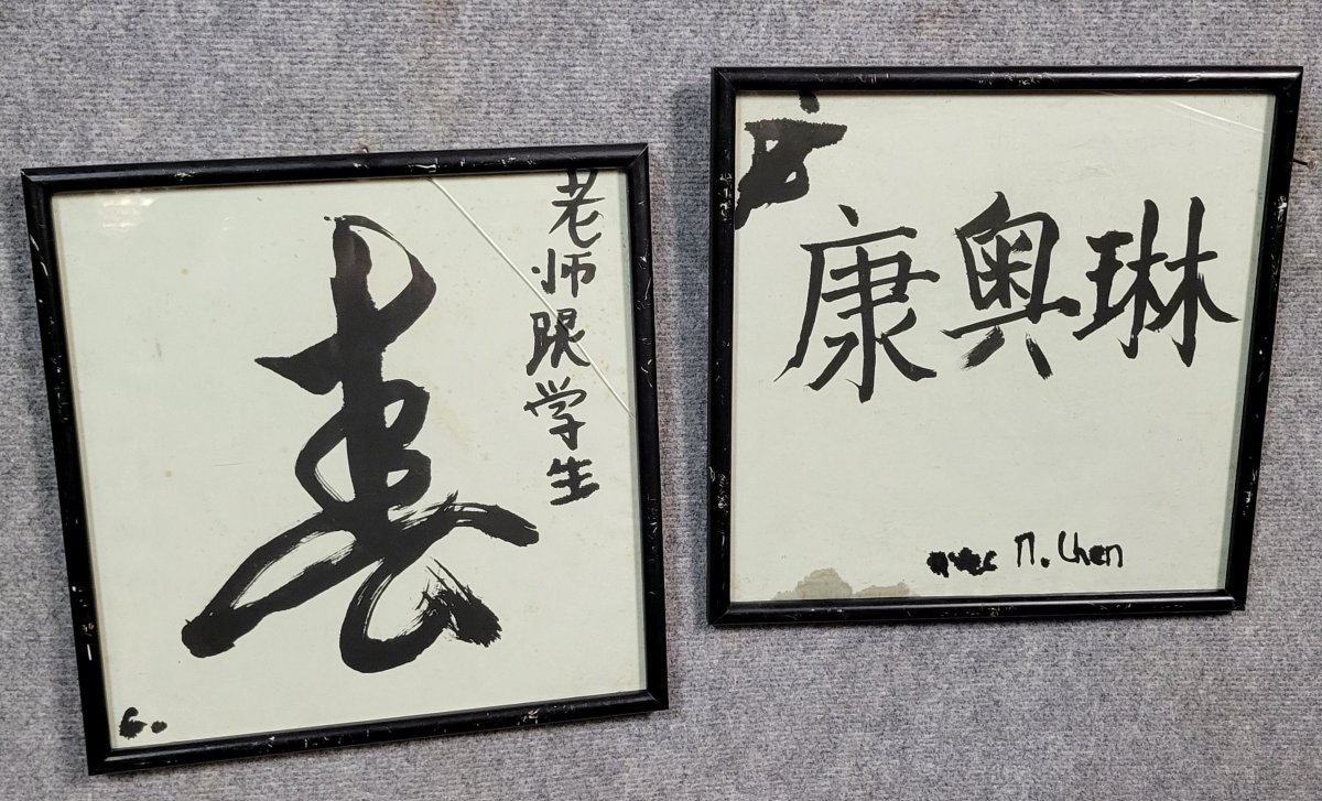M. Chen XXeme : paire de dessins a l'encre de chine      -photo-1