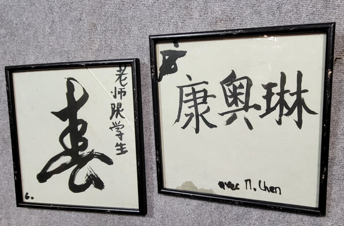 M. Chen XXeme : paire de dessins a l'encre de chine      -photo-2