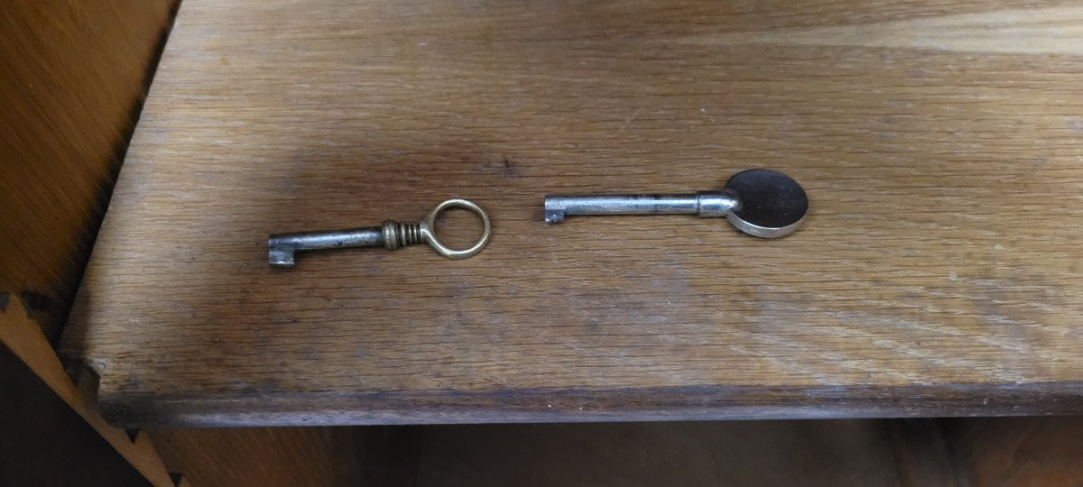 Louis Majorelle: Art Nouveau Period Mirrored Wardrobe In Macassar And Walnut -photo-5