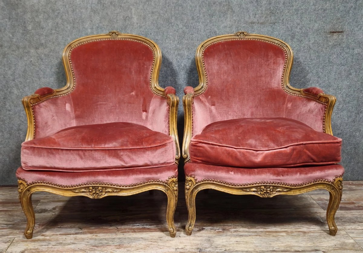 Pair Of Louis XV Style Cabriolet Armchairs – Carved Wood – Pink Velvet – H 83-photo-4