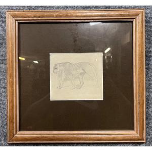 Houbron Frederic (1851-1908): Framed Drawing Depicting A Panther