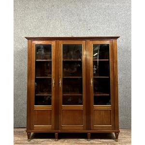 Louis XVI Style Bookcase In Mahogany And Golden Copper Bangles 