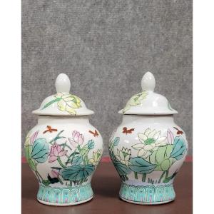 Asie XXeme : deux grandes potiches couvertes en porcelaine