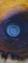 1618376-alb-68cd5bc23f57e.jpg