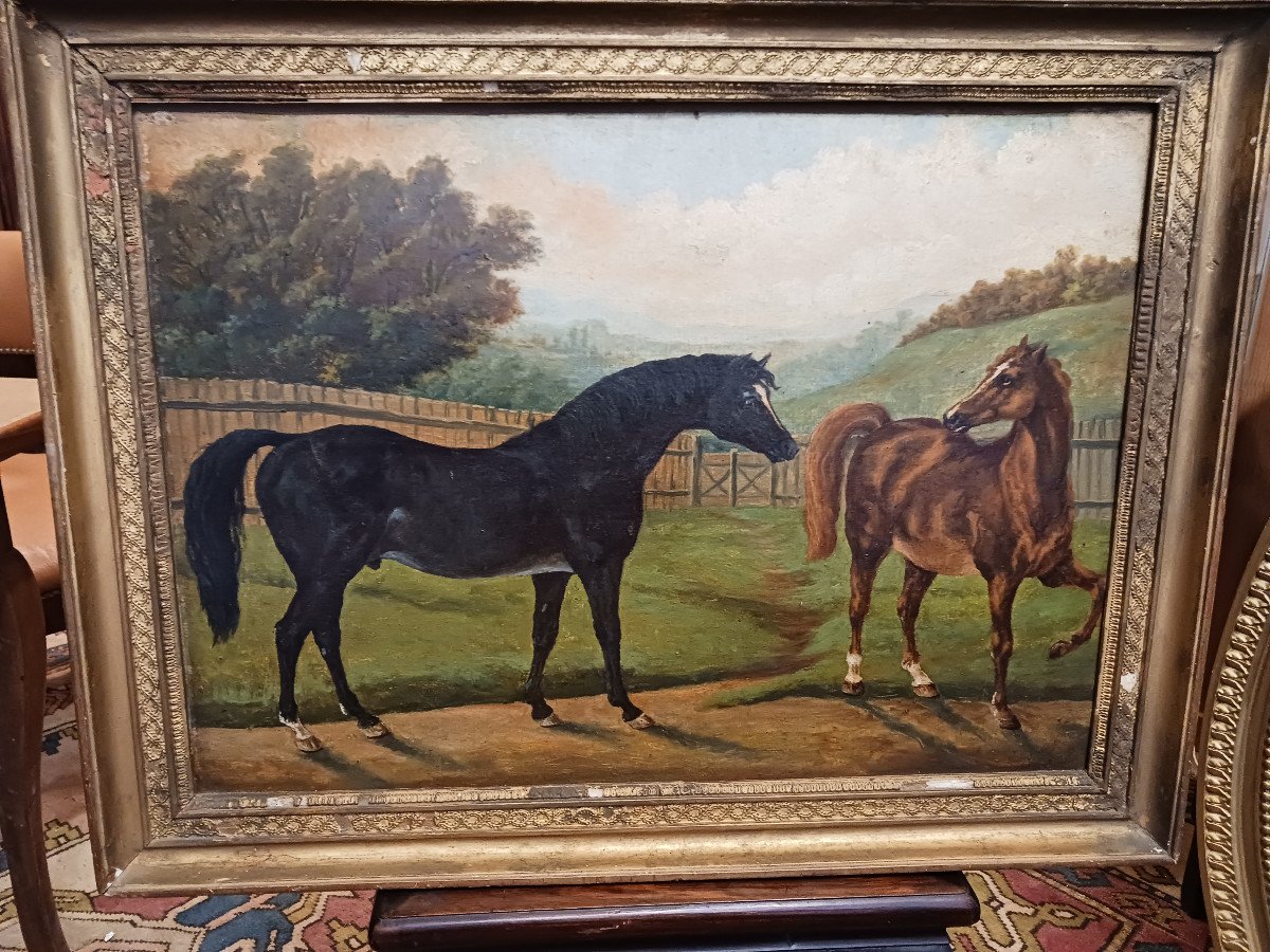 Paire De Tableaux 'les Chevaux'-photo-2