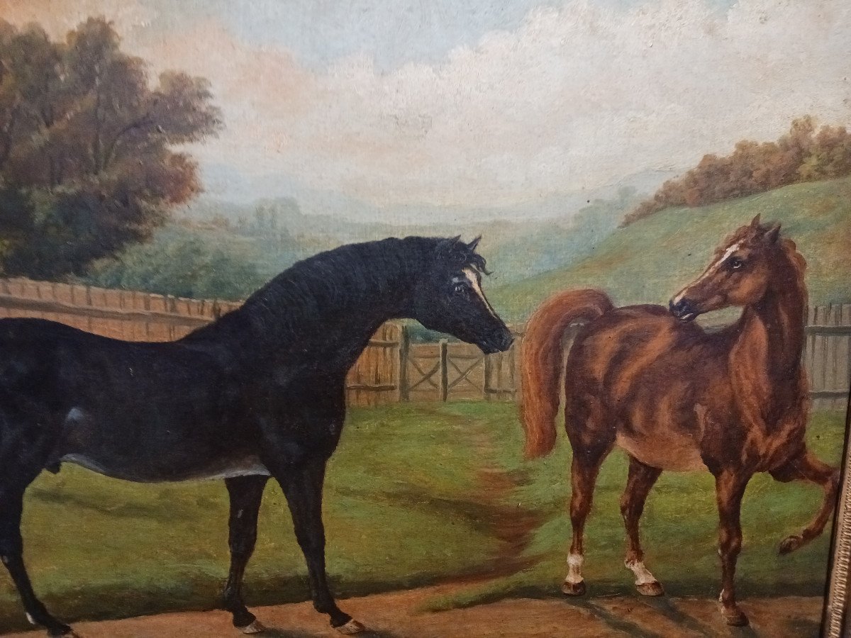 Pair Of Paintings 'horses'-photo-3