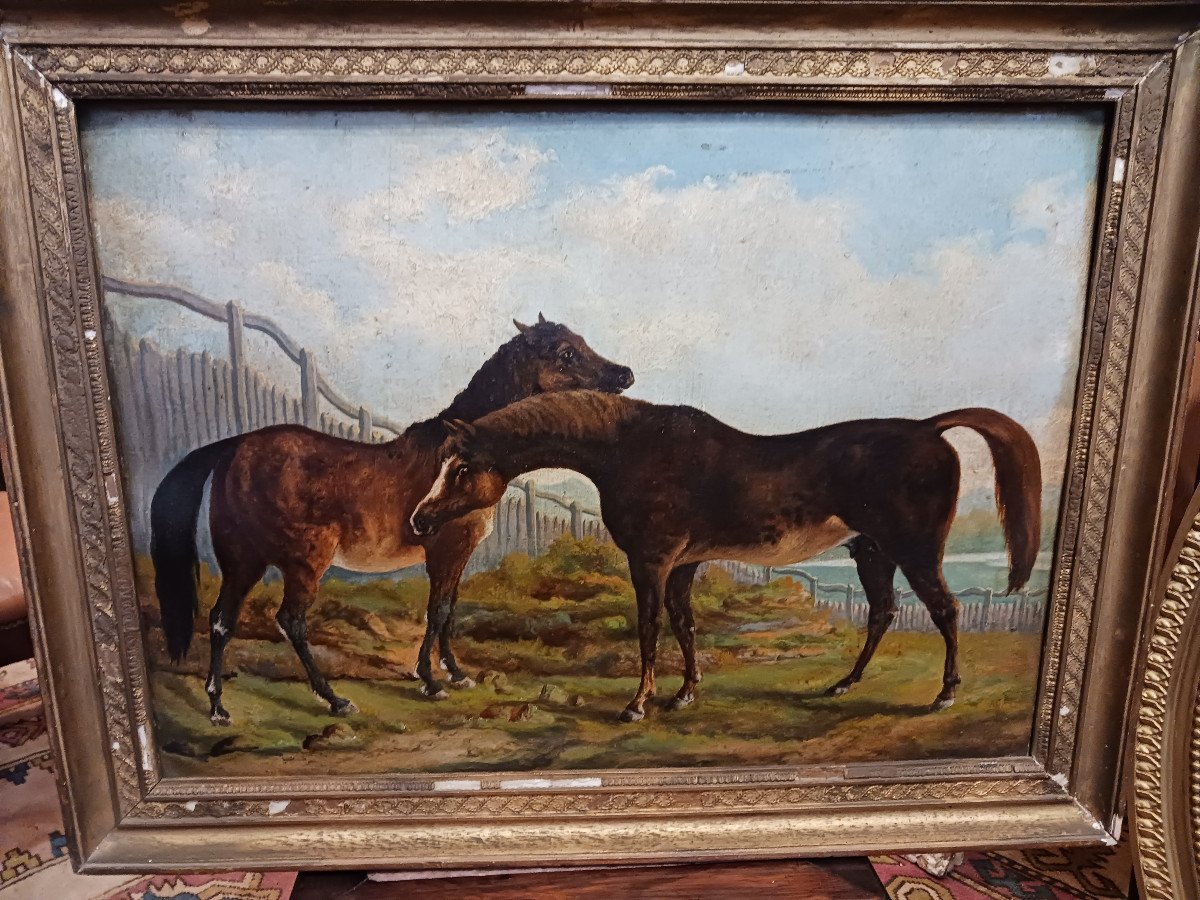 Pair Of Paintings 'horses'-photo-1