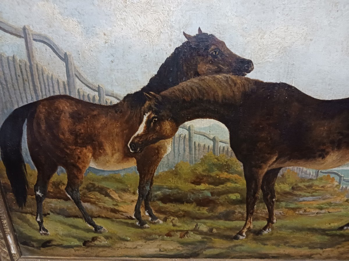 Pair Of Paintings 'horses'-photo-2