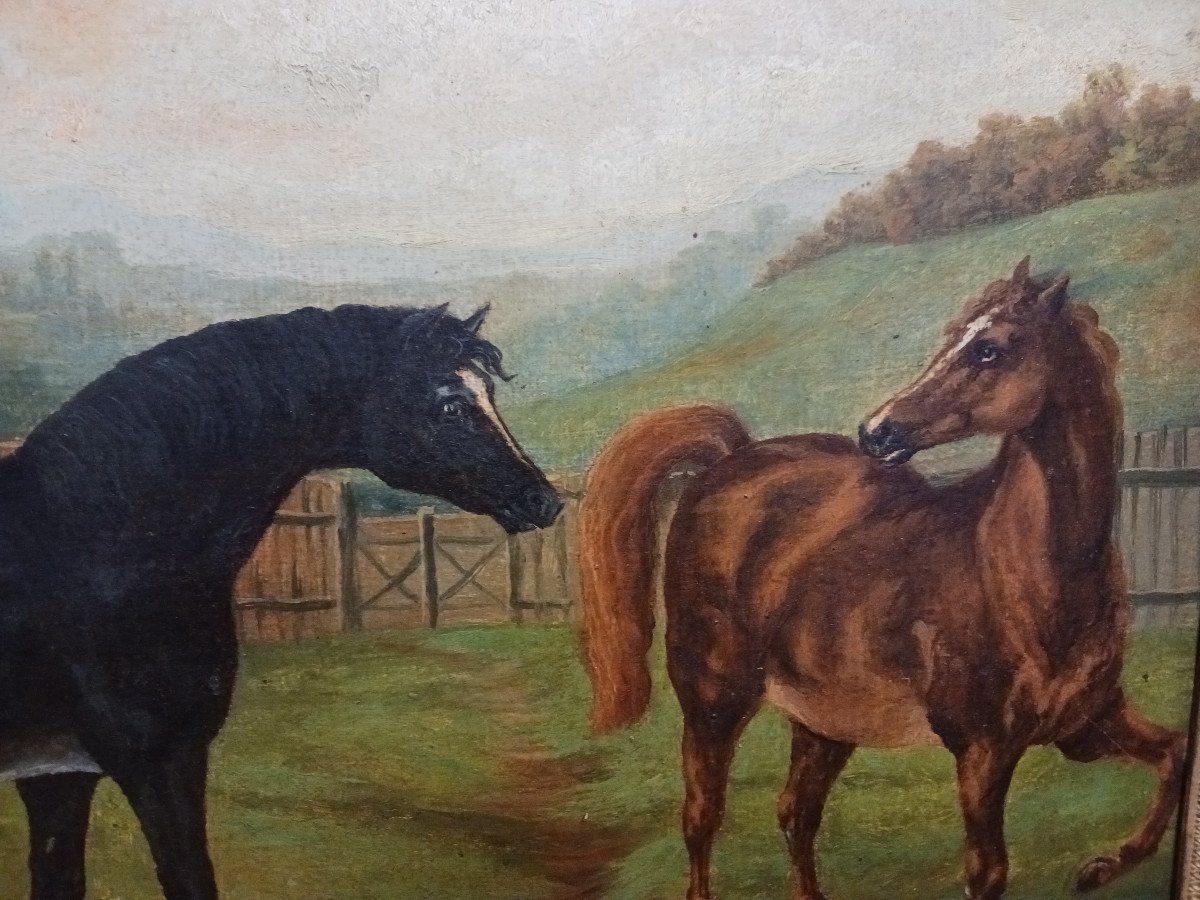 Pair Of Paintings 'horses'-photo-4