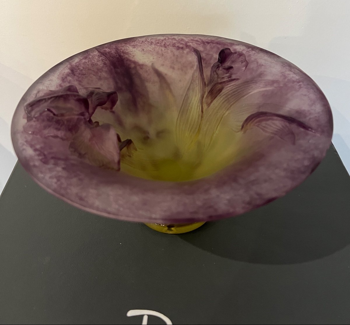 Coupe En Pâte De Verre De Daum à Décor d'Iris -photo-2