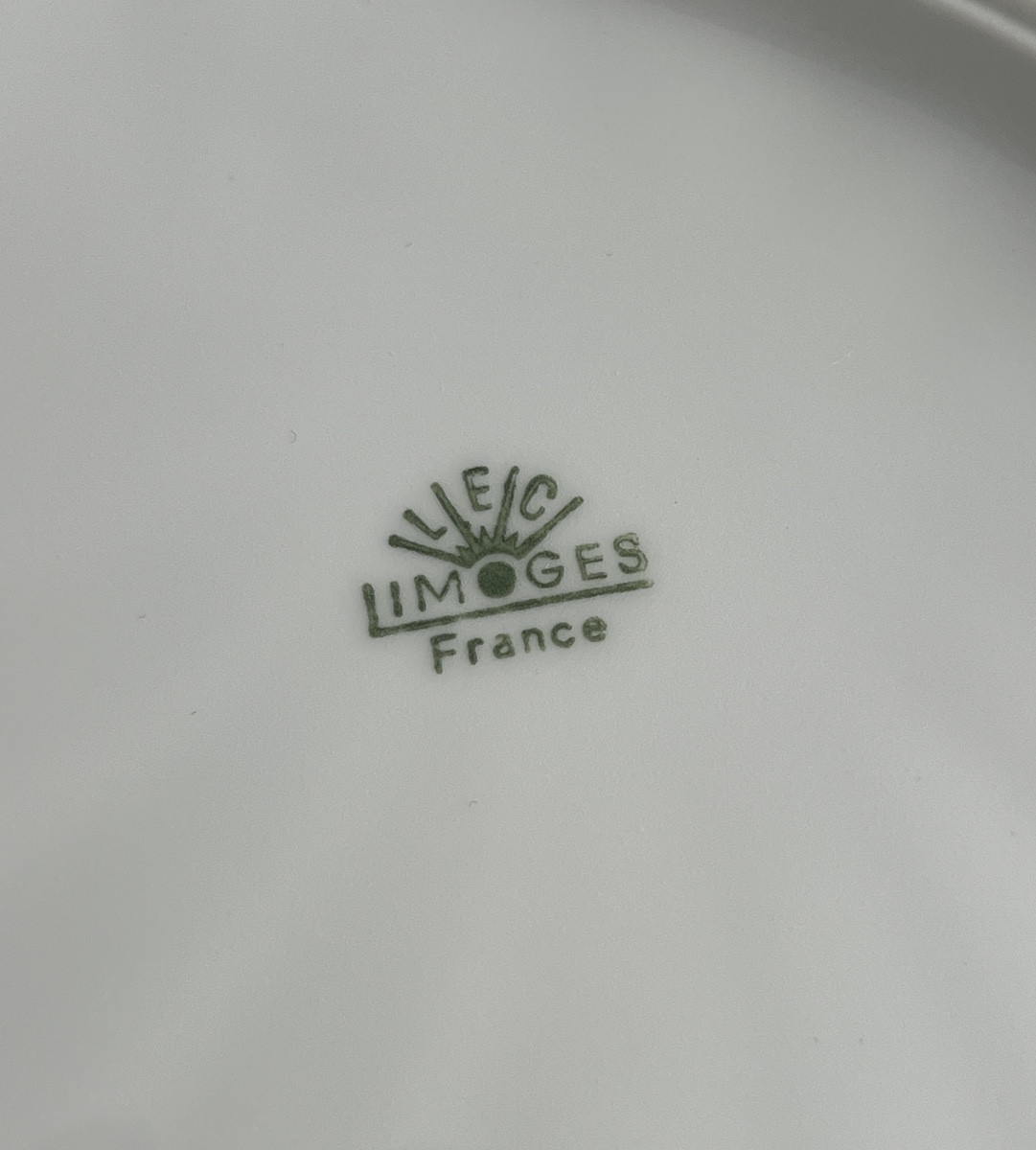 Service de Table en Porcelaine de Limoges Décor aux  Oiseaux de Paradis -photo-8