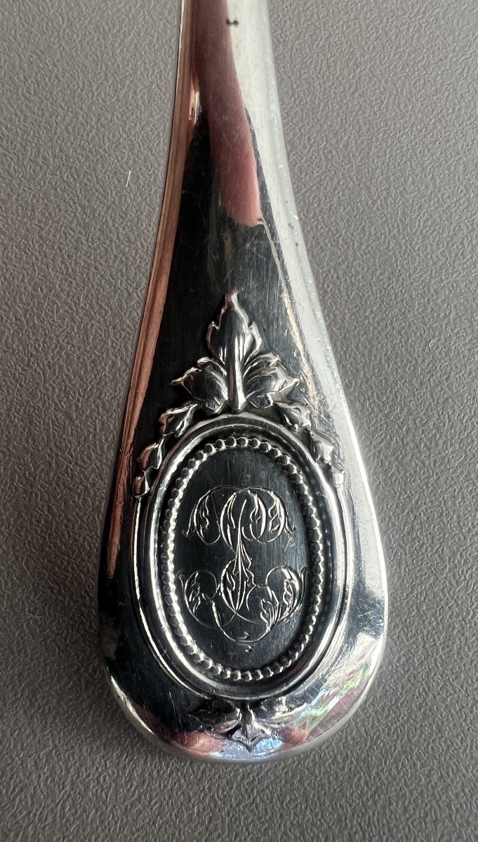 Sugar Spoon / Sugar Shaker, Louis XVI Style, Solid Silver, Minerve -photo-4