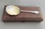 1772495-6a21ab51ea227.jpg