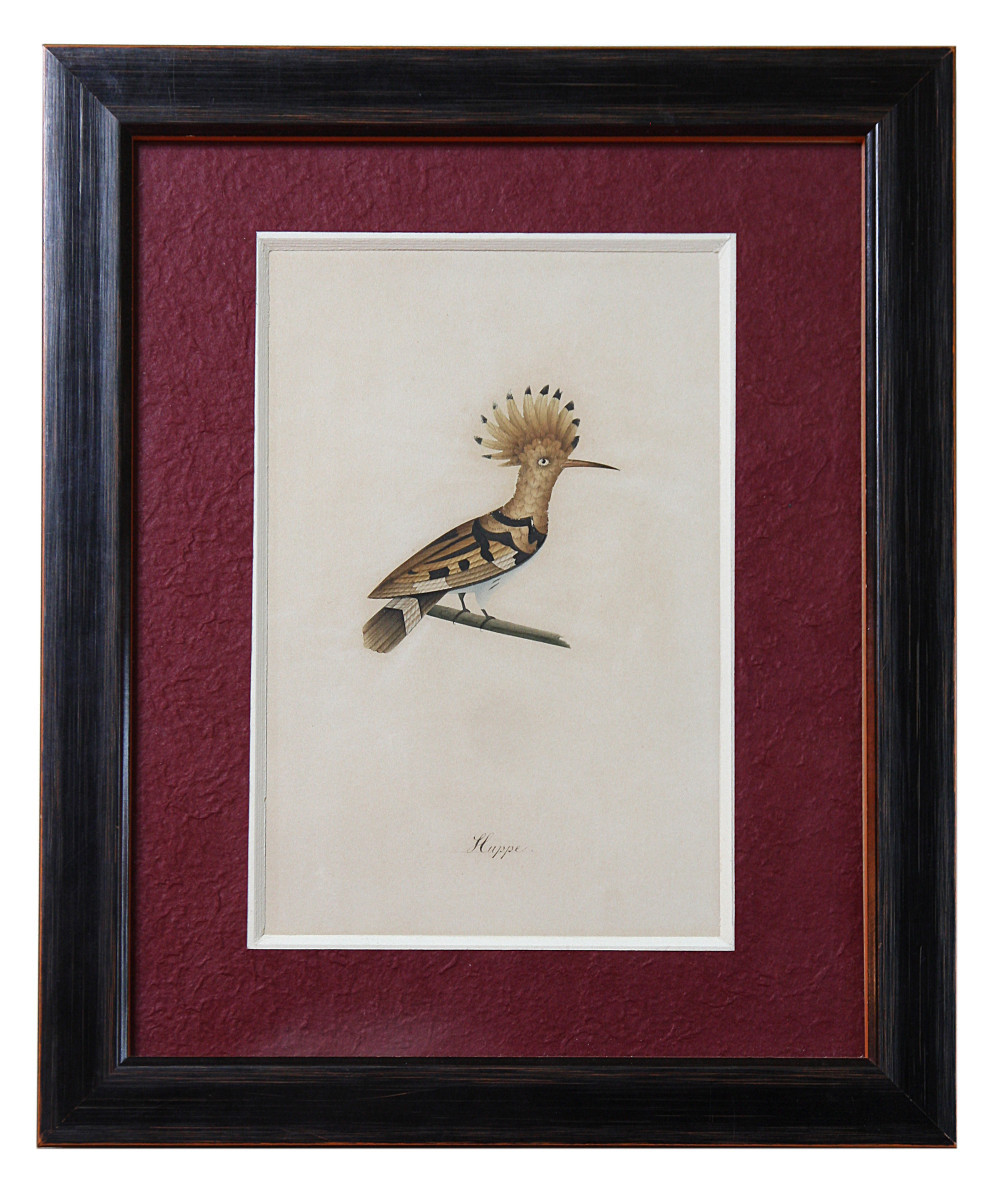 Birds, Watercolor Drawings, 19th Century-photo-4